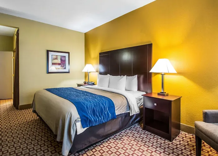 Quality Inn Plant City - Lakeland
