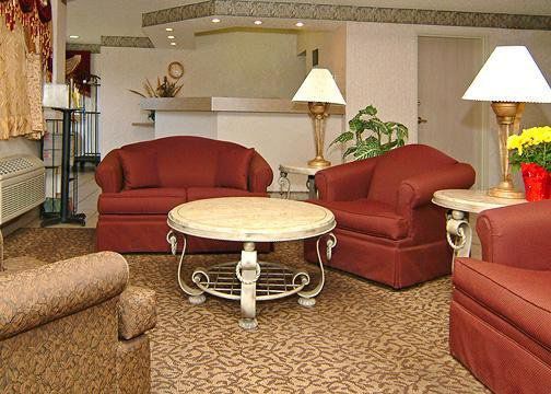 Quality Plant - Lakeland Locanda